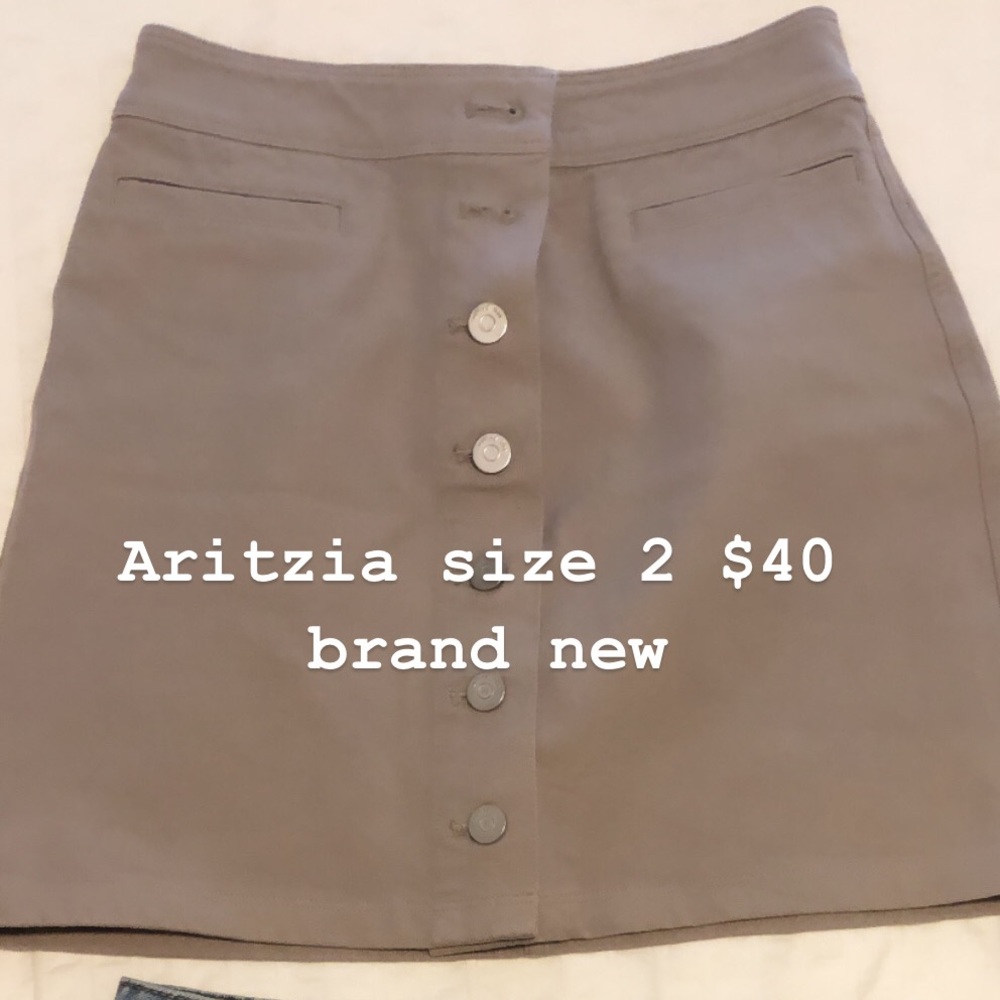 Aritzia skirt